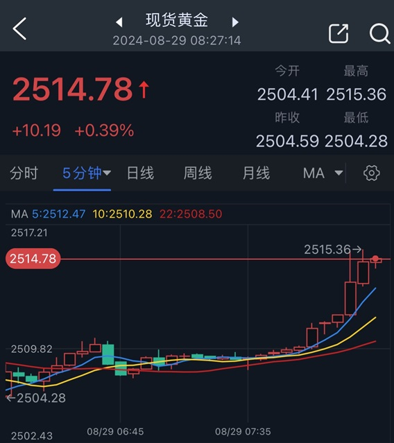 1280X1280 1280X1280.PNG